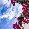 rahaf51114
