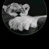 s_bekas