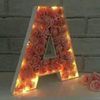 amina.mia3