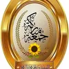 ruksar7869