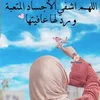 user3299443759529