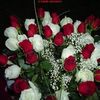 user0zmu7lvfnc