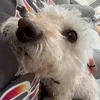 noodle_soup67