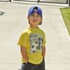 santino.vnp