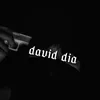 david.dia19