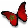 ossamasfaoui