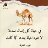 urse12345678911