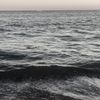 al0_555