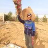userrdeg5ajfca