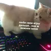 dikiace