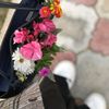 may5.w