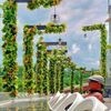 ragiel_809