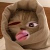 anindya_943