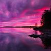 purplexpinkxskies