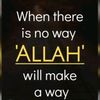 alizay1258