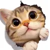 lhunalorz