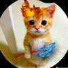 user1vvtn3rnbw