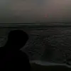 sannn_464