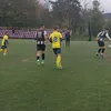 r_razvi_8