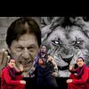 sheerzaman10
