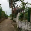 nguynshiu5