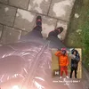 je_10093