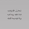 .ri3aa