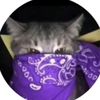 rhan_564
