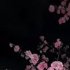 a.lbnzz