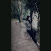 story_el29