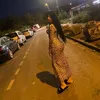 _shakira_drg_
