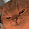 pussymucher69
