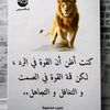 user6311849715849