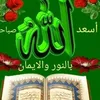 usereh5elmqs7a