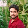 md.sumon6491