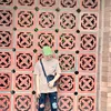 lovanquynh204