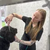 katethedoggroomer