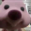 krzybll