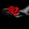 user1848452000194