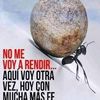 user5757915921969