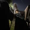 rui_521