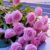 user024452058