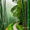 vunguyen41313