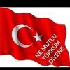 seyhandogan858