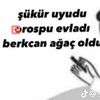 user1987496890