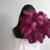 11_s.6