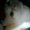 el_kalvin.mg