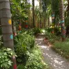 jadira2434