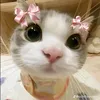 kuynhankk