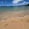 janet_jm8